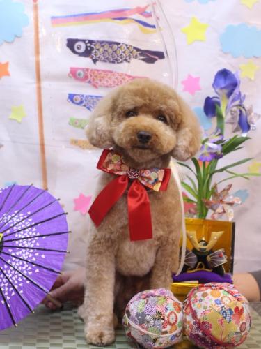 20240511コアくん